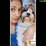 Hariprriya Instagram – Those sleepy eyes 😍 My #happy says #goodnight ☺️😴 #helokannadaofficial #helo #hariprriyadiaries #helostar #puppylove