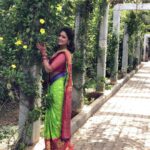 Hariprriya Instagram - #sareelove 😍 #beingtraditional❤ #beingmyself #colourful #indianweddings #friendsweddingday ❤️