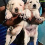 Hariprriya Instagram - I'm a grandmother already !! 😱😂💃. My Lucky baby is now a proud father of these cuties 😍♥️