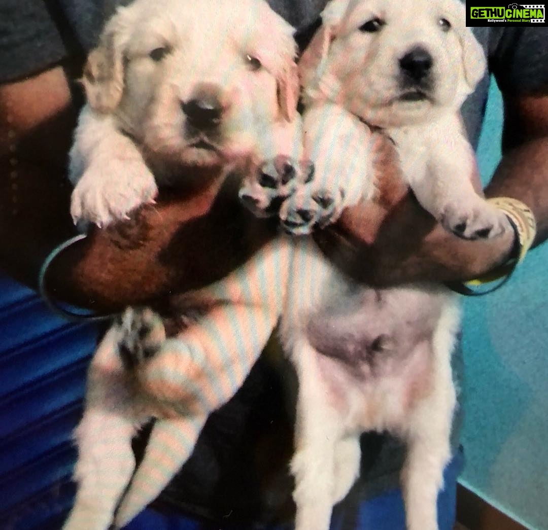 Hariprriya Instagram - I'm a grandmother already !! 😱😂💃. My Lucky baby is now a proud father of these cuties 😍♥️