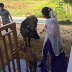 Harshika Poonacha Instagram – This 2 day old little one with his mom were the first guests to my new home ❤️❤️❤️

#Harshihousewarming #Anugraha Virajpet, India