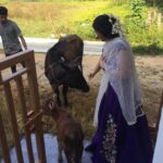 Harshika Poonacha Instagram – This 2 day old little one with his mom were the first guests to my new home ❤️❤️❤️

#Harshihousewarming #Anugraha Virajpet, India