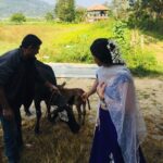 Harshika Poonacha Instagram – This 2 day old little one with his mom were the first guests to my new home ❤️❤️❤️

#Harshihousewarming #Anugraha Virajpet, India