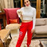 Harshika Poonacha Instagram - Oh wait, It’s not a soft toy, it’s the cutest furball tweechy ❤️❤️❤️ PC @charithriya_ganesh_official 😘