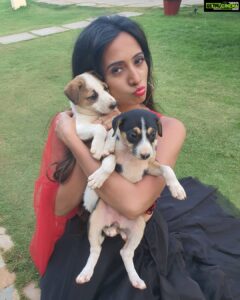 Harshika Poonacha Instagram - Come to goa if you wanna cuddle these two... Sussssch cutiesss😘😘😘 Wearing the very pretty @arabylekhareddy 😍 Goa