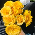 Harshika Poonacha Instagram – Sending my support and strength to the CRPF personnels families😭
#pulwama #pulwamaattack #godblessthem