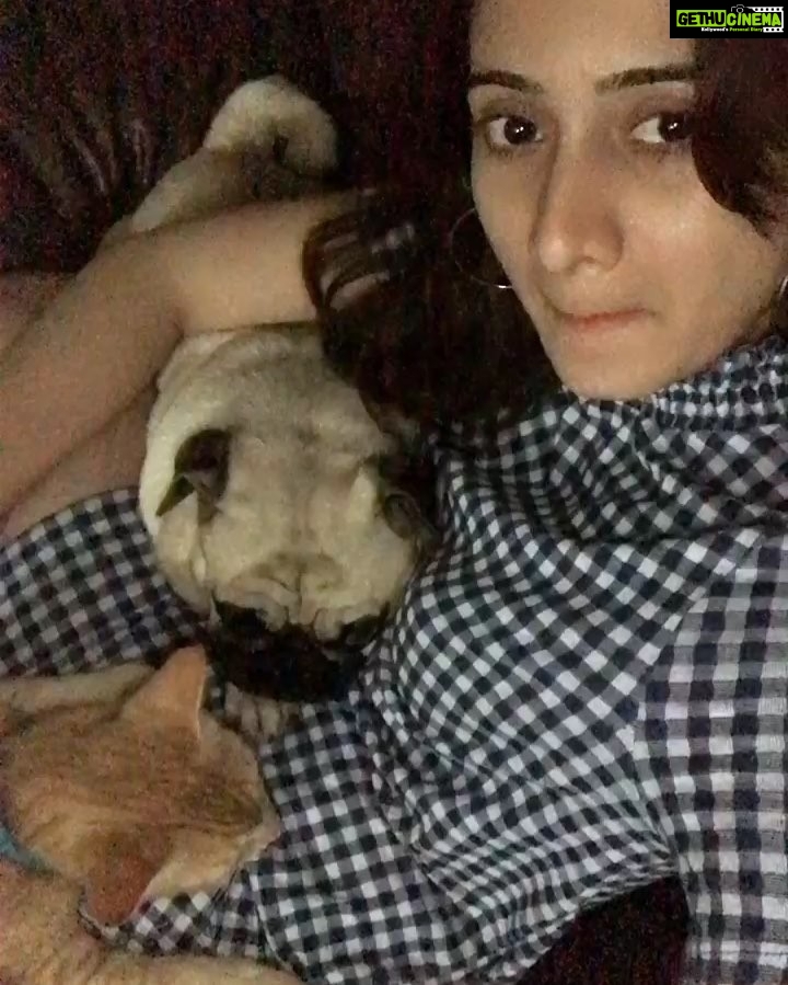 Harshika Poonacha Instagram - Been giving moral support to people in kodagu for few days now, as that is all I can do,Give loads of positive energy and help them overcome their pain and also work towards rebuilding #kodagu . Through the process,I’ve been hurt seeing them struggle and listening to their stories. Reached bangalore today with very low energy, But these 2 have got me back on track, They played with me,cheered me up and now they are asleep. There cannot be better souls than your pets to understand you and make you feel better. #PETLOVE “THEY WILL NEVER LET YOU SULK” #pets #love #happy #animals #loveyourpets