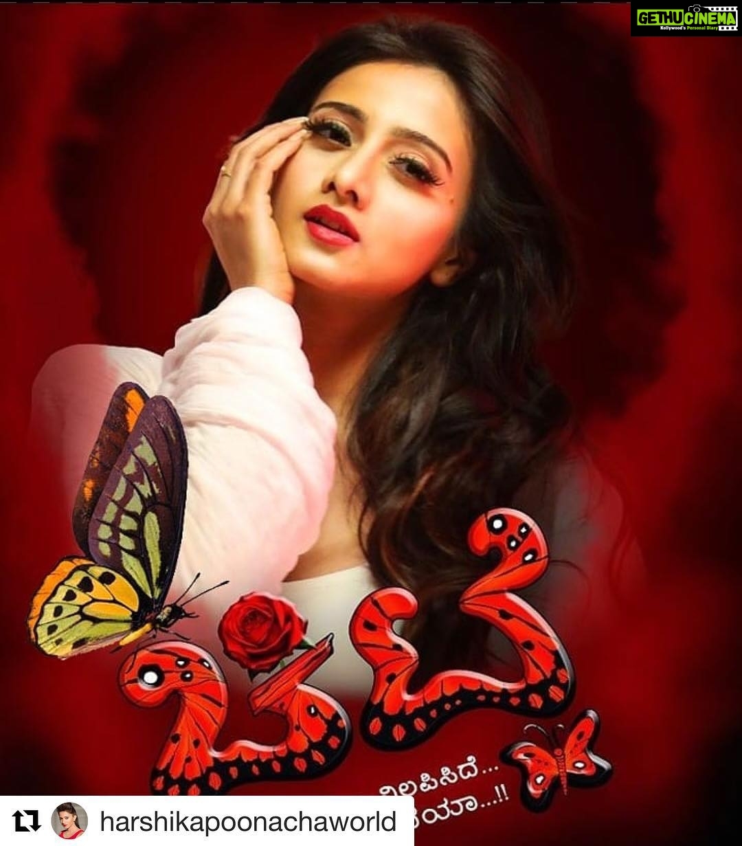 Harshika Poonacha Instagram - Nice π¦ Uve added a #Chitte to the #Chitte poster as #chittechallenge π¦ #Repost @harshikapoonachaworld with @get_repost γ»γ»γ» @harshikapoonachaofficial #harshikapoonacha #harshikapoonachaworld #chittechallenge #follow #like #comment