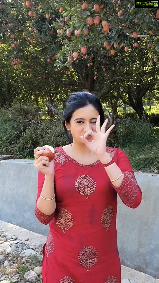 Harshika Poonacha Instagram - Kashmir Apple Orchards π Loved itβ€ #Missyoukashmir The apples were so juicy and yumm, Can't wait to go back and have more π