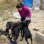 Harshika Poonacha Instagram – I love you guys for INFINITY 💕♥️♥️

#dog #lover #pets