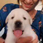 Harshika Poonacha Instagram – These are the little happiness we find between the busy days ❤❤❤
#Noa #cutie #dog