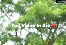Himaja Instagram - I love it ❤️ VC @captainsaikiran #wildlife #monkeys #naturelover #animallovers #feeding #monkeyslove