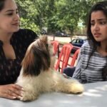Himaja Instagram - .......Have a Great day everyone 😍 @anupamaparameswaran96 #petlovers #teluguactress #anupamaparameswaran #himaja