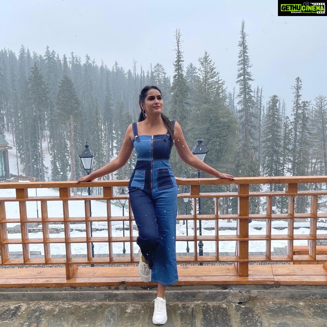 Himaja Instagram - A π¦ sitting on a π³ is never afraid of the branch breaking,because her trust is not on the branch but on its own wings.Always believe in yourself π #selfconfidence #believeinyourself #standonyourown