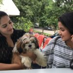 Himaja Instagram - .......Have a Great day everyone 😍 @anupamaparameswaran96 #petlovers #teluguactress #anupamaparameswaran #himaja