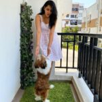 Himaja Instagram – ❤️Animals are such agreeable friends – they ask no questions; they pass no criticisms.. #pet #petlovers