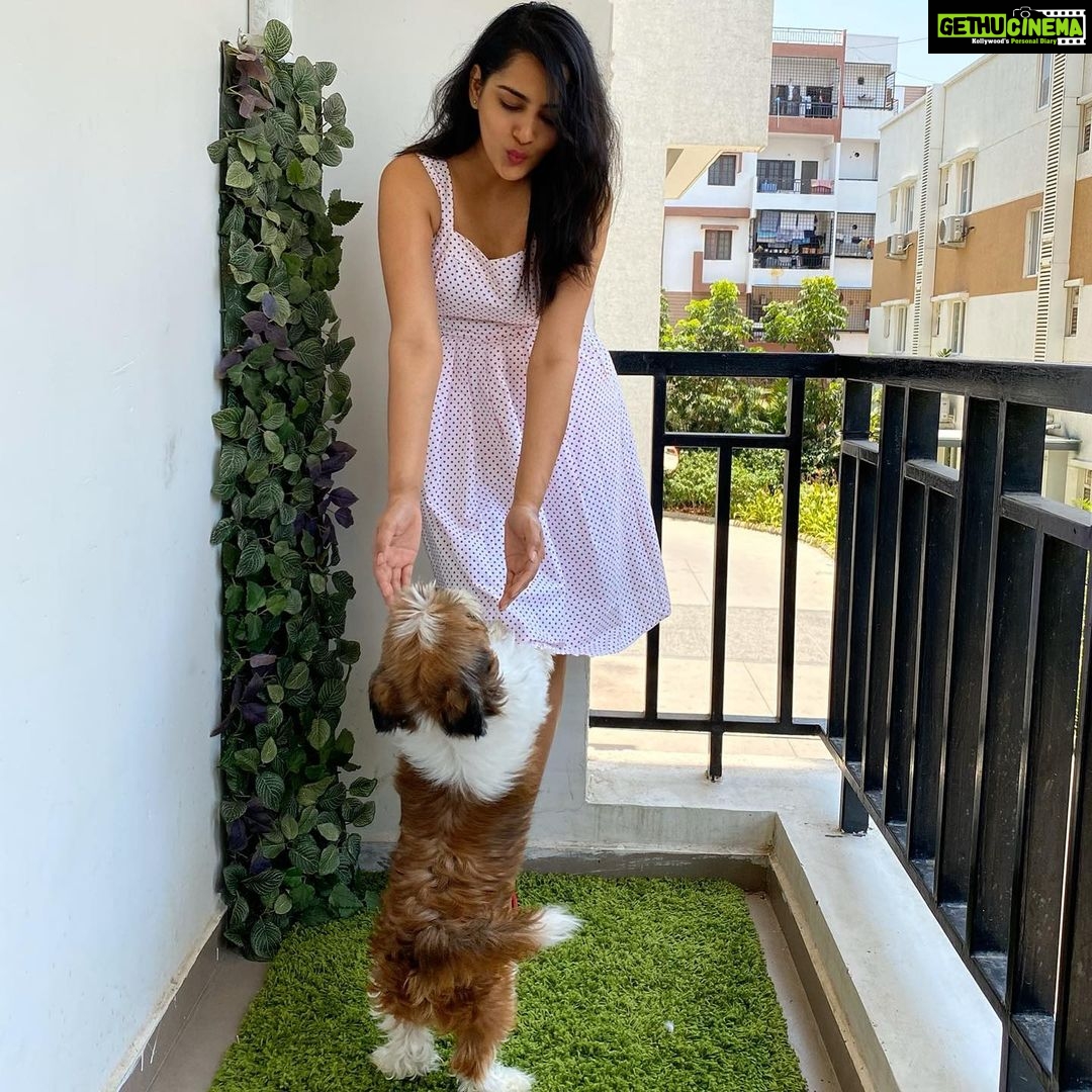 Himaja Instagram - ❤️Animals are such agreeable friends - they ask no questions; they pass no criticisms.. #pet #petlovers