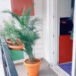 Himaja Instagram - #trending #tiktok #quarantinetimepass #telugu #tollywood #tamil #tamiltiktok