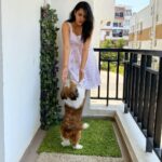 Himaja Instagram - 😍Animals are such agreeable friends they ask no questions, they pass no criticisms 🤗 #pets #love #care #adorable #no