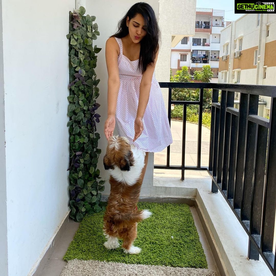 Himaja Instagram - 😍Animals are such agreeable friends they ask no questions, they pass no criticisms 🤗 #pets #love #care #adorable #no