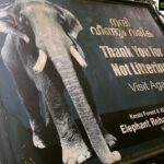 Iniya Instagram - 🧚🏻‍♀️🧚🏻‍♀️🧚🏻‍♀️YOU ARE THE ARTIST OF UR LIFE..DONT GIVE THE PAINT BRUSH TO ANYONE ELSE 🧚🏻‍♀️🧚🏻‍♀️🧚🏻‍♀️ Pic by: ASclikz #travelphotography#keralalove#traveldiaries#southindianactress#lovenature #naturelove#beautyqueen#casualstyle Kottur Elephant Rehabilitation Center