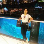 Iniya Instagram - @thedubaimall @citywalkdubai Dubai, United Arab Emirates