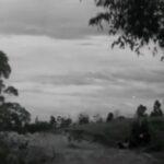 Isha Sharvani Instagram - The storm IS coming! The question is: Which side of history will you be on? Please act now This video brings together a multitude of artists from India, Australia and Israel to shine a light on the most important issue the world has ever faced, climate change! 'PSYNERGY' releases on 20th Nov at 6pm (IST). Link below: https://youtu.be/16qrLwJ4chI #climatecrisis #climatestrike #climatejustice #actnow #fridaysforfuture #gretathunberg #makeearthgreatagain #climatejusticenow #cleanenergy #youthclimatestrike #ishasharvani #leonardodicaprio #myecoresolution #systemchangenotclimatechange #thereisnoplanetb