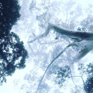 Isha Sharvani Instagram - I am going to post a series with of pictures taken by me behind the scenes of the making of Iyobinte Pustakam this weekend📸  I am feeling nostalgic right now. I miss interacting with these beautiful, talented loving humans, I miss the majestic Hills of Vagamon, Kerala. I miss making movies❤️🕉❤️ to be continued…