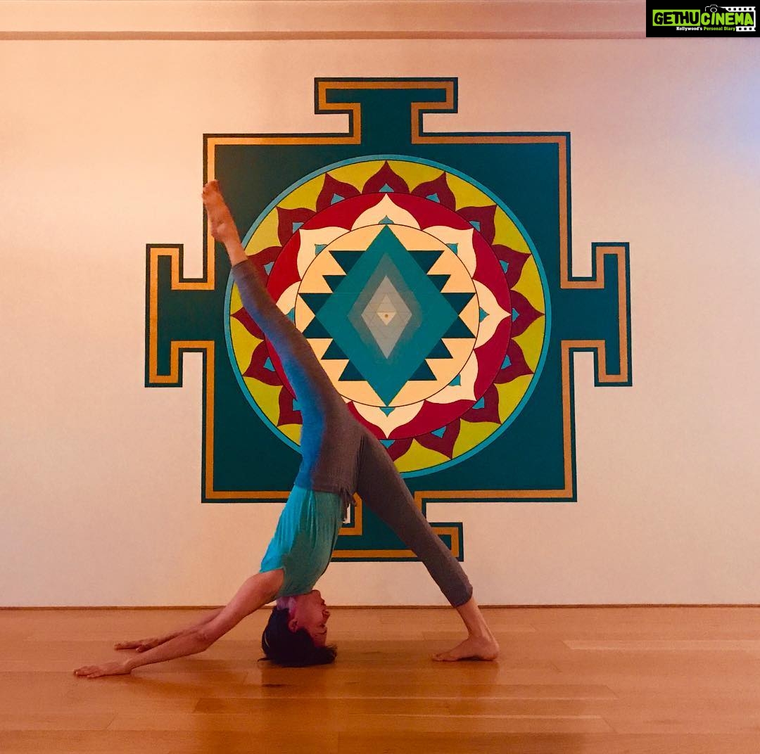 Isha Sharvani Instagram - Come join me at Yoga Om December 8-15-22 11.30am-12.30pm $10 a session