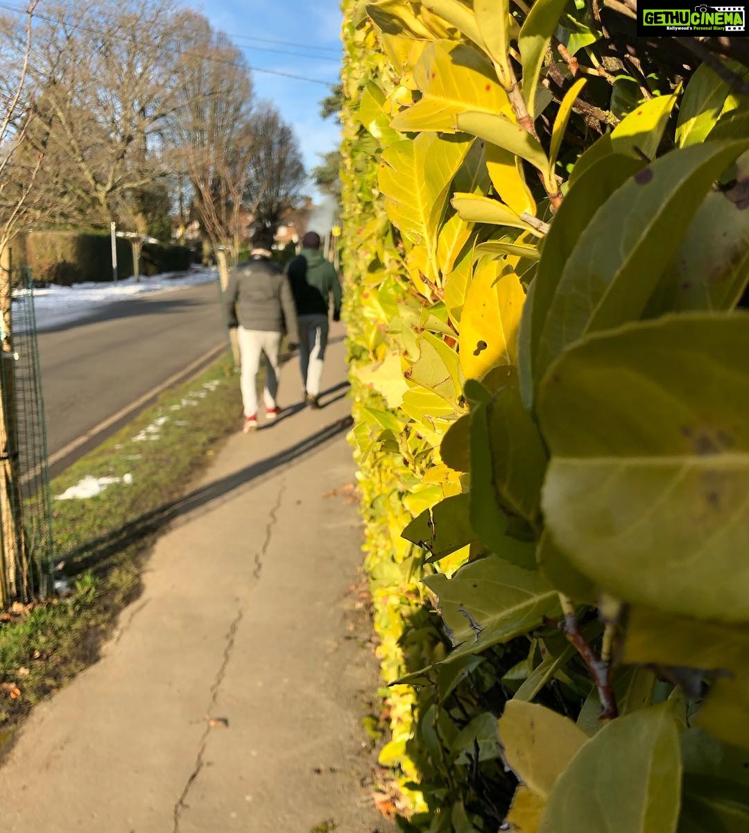 Ishaara Nair Instagram - Beauty everywhere ❤️ #swipeformore #london #bliss #peaceful #dubaibloggers #wanderlustsinlondon #mydubai #beautifullondon Amersham, Buckinghamshire