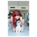 Ishaara Nair Instagram - Hello gorgeous.... can I have some cuddles?? 😍 🐶 ❤️love #puppy #unconditionallove #dogsofinstagram #puppiesofinstagram #cutie #shihtzusofinstagram Dubai, United Arab Emirates