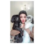 Ishaara Nair Instagram - My love doses #puppies #myworld #love #unlimited #postive Dubai, United Arab Emirates
