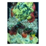 Ishaara Nair Instagram - A balanced vegan bowl #veganfood #govegan #veganfood #yumyum #veganeats #efforts #diet #healthylifestyle #veganindubai #nutritious #vegannutrition Dubai, United Arab Emirates