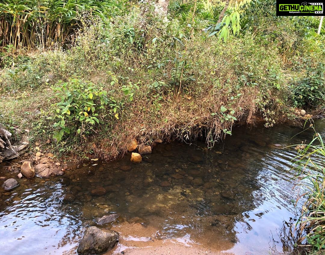Ishaara Nair Instagram - Amidst of an adventure #thekkady #forestjeepsafari #sathram #adventurevisuals