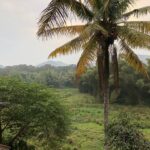 Ishaara Nair Instagram - Home land ❤️❤️😇😇 view from behind the house #homeland #thekkady #blissful #blessup #blessed Thekkady Hill Station 4 Tourism