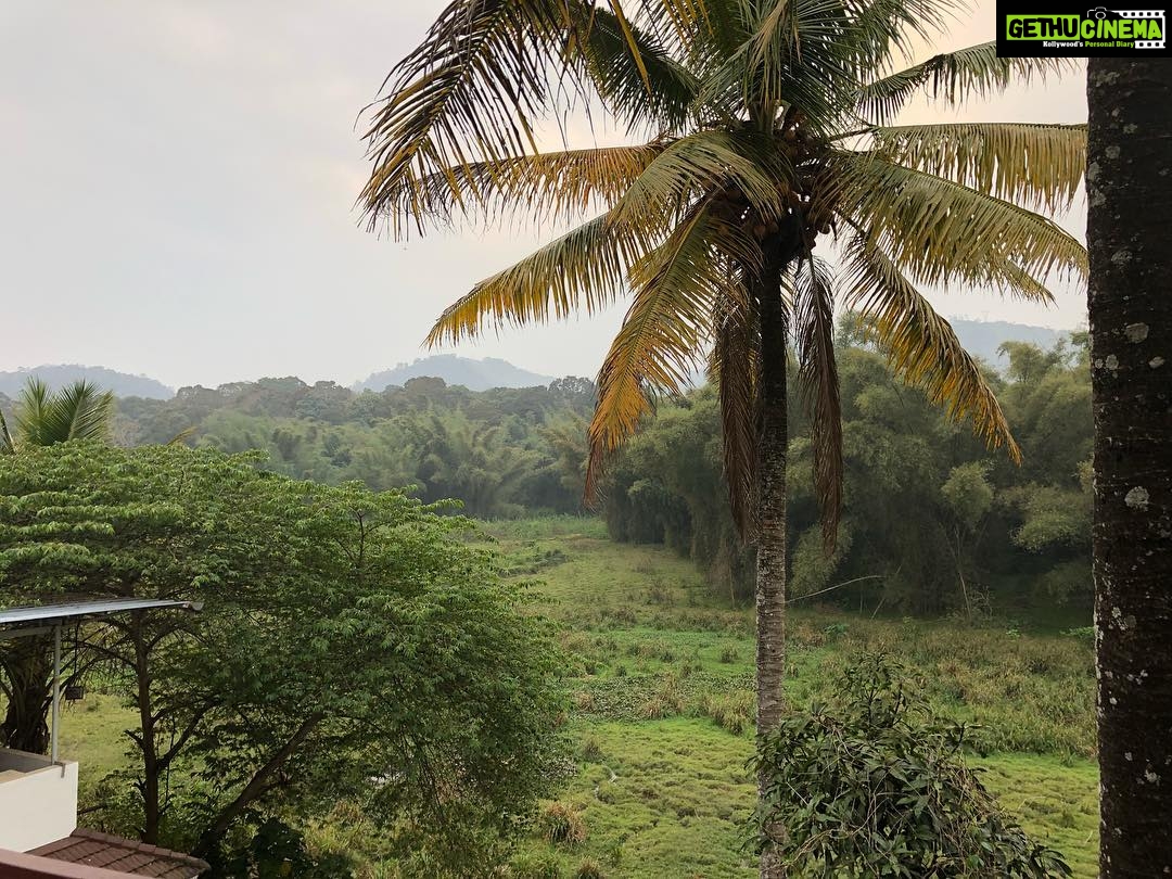 Ishaara Nair Instagram - Home land ❤️❤️😇😇 view from behind the house #homeland #thekkady #blissful #blessup #blessed Thekkady Hill Station 4 Tourism