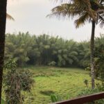 Ishaara Nair Instagram - Home land ❤️❤️😇😇 view from behind the house #homeland #thekkady #blissful #blessup #blessed Thekkady Hill Station 4 Tourism