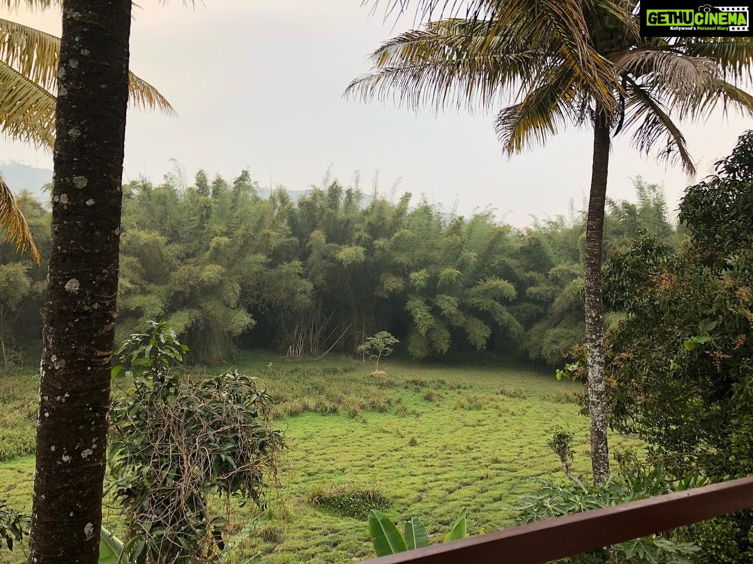 Ishaara Nair Instagram - Home land ❤️❤️😇😇 view from behind the house #homeland #thekkady #blissful #blessup #blessed Thekkady Hill Station 4 Tourism