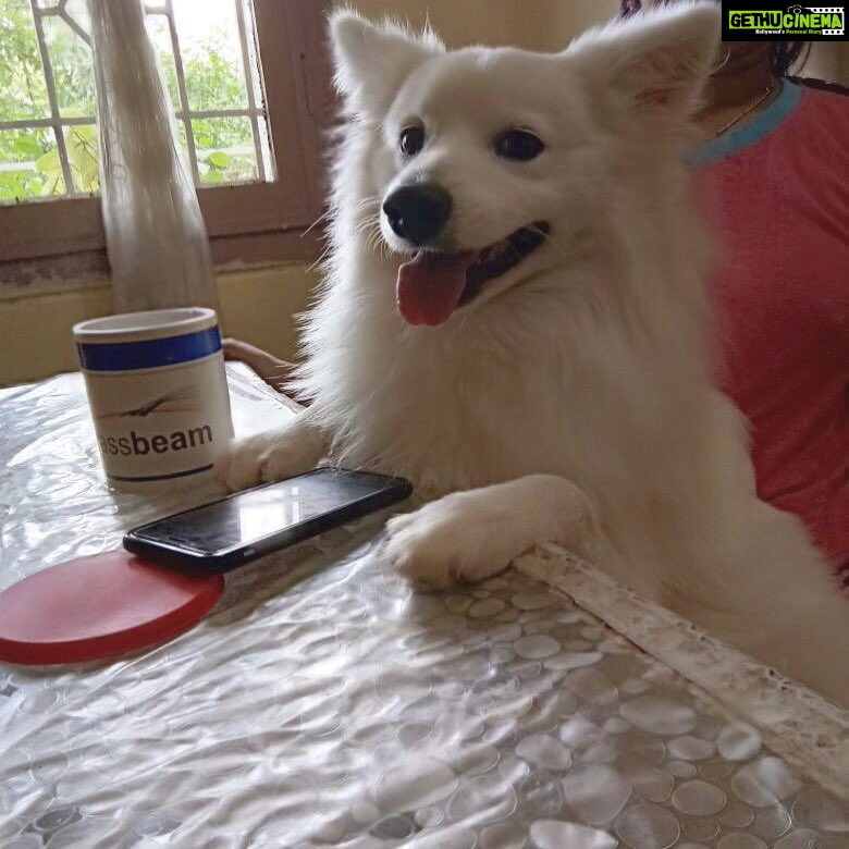 Ishika Singh Instagram - Mr Damroo at the breakfast table ! #doglove #doglovers #petlover #petlovers #pawsome #damroo