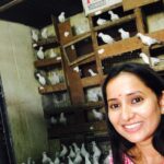 Ishika Singh Instagram - So many pigeons at once ... so many I lost my count ! #piegonpoint #peigonlove #hyderabadbirds #peigonparty