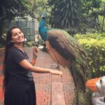 Ishika Singh Instagram - Me with our national bird #peacockinspired #peacocklover #peacockloveyou