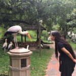 Ishika Singh Instagram - U stare at me , I stare back to u #lovebirds #birds #malaysiabirdpark