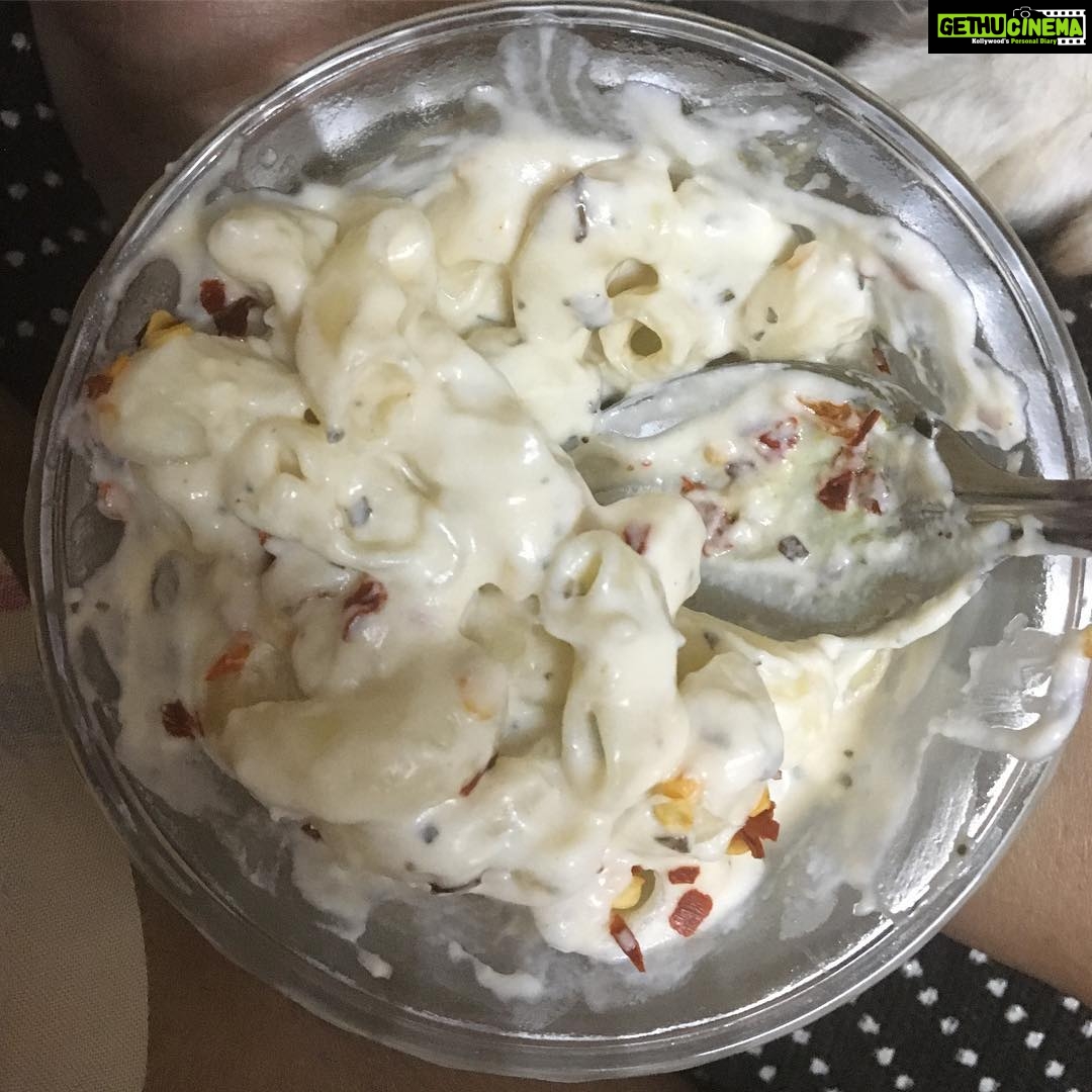 Ishika Singh Instagram - Yummy creamy cheddar cheese pasta 🍝 #pasta #loveforfood #foodie #foodie😋 #hyderabadfoodie #hyderabadfoodies blessed to have neighbours like this who share their food 🥘 #italianfood #neighbourlylove #neighborhood #sharefoodsharelove