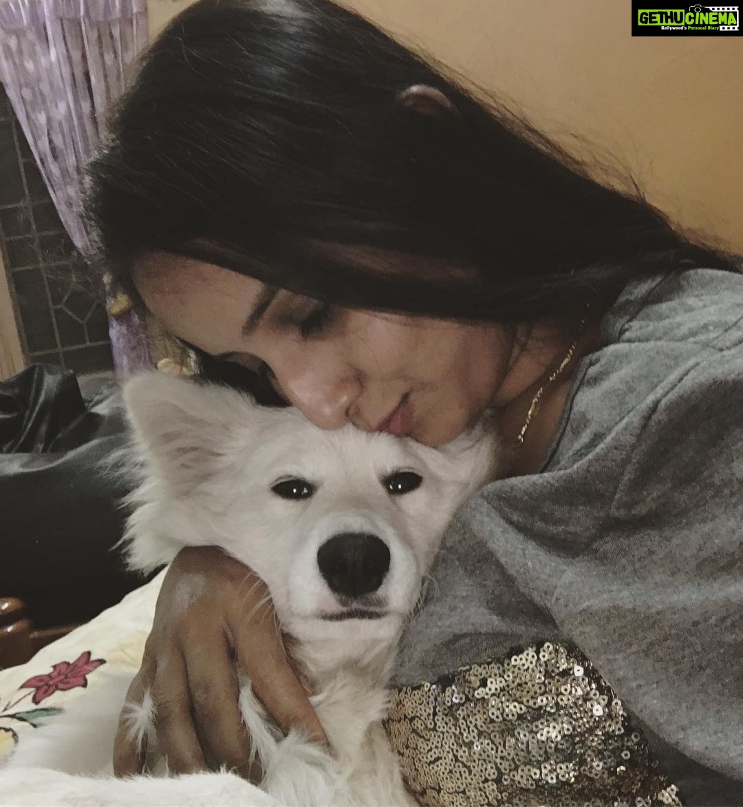 Ishika Singh Instagram - Love u forever .. u r my love #actorslife #petlovers #pet🐱 #pet #dog🐶 #doglovers #doggielove #damroo #puppylove