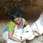 Ishika Singh Instagram - He was so comfy with me ... #animallove #calf #filmmaking #actorslife #actorslife #filmshoot