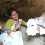 Ishika Singh Instagram - Such a beautiful animal .. loved those eyes...n innocence #animallove #calf #actorslife #filmshoot #filmmaking