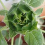 Ishika Singh Instagram - Nature at its best !!!
