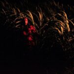 Ishika Singh Instagram - Lost in fields