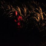 Ishika Singh Instagram – Lost in fields