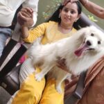 Ishika Singh Instagram - Me and my boy damroo in frame 🖼 other two cropped out ;) #damroo #doglovers #doglover #damrooo #yellowsunshine #yellowdress